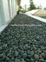 Sỏi Đen Tự Nhiên