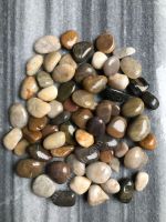 Sỏi Tự Nhiên Đa Sắc