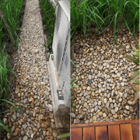 Sỏi Vàng Tự Nhiên