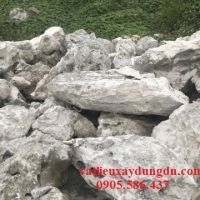 Đá San Hô Tự Nhiên