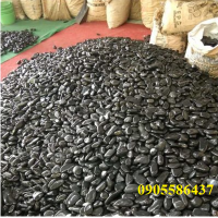 Sỏi tự nhiên đen bóng