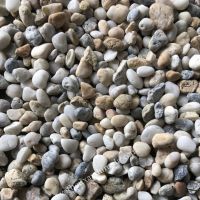 Sỏi thủy sinh tự nhiên