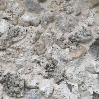 Đá San Hô Ốp Tường