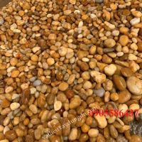 Sỏi suối màu vàng tự nhiên